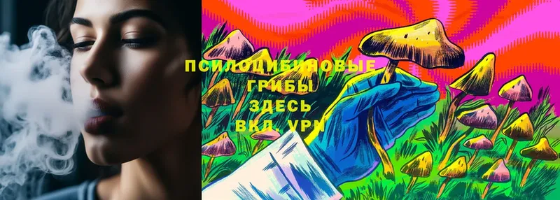 Галлюциногенные грибы Psilocybe  Неман 